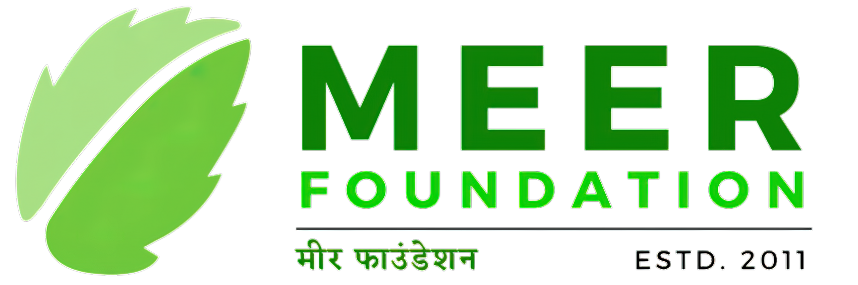 Meer Foundation Logo